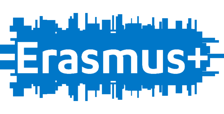 Erasmus-Placement1-1-736x368.png